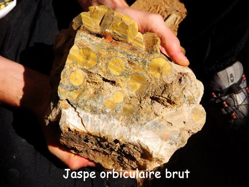 jaspe orbiculaire brut