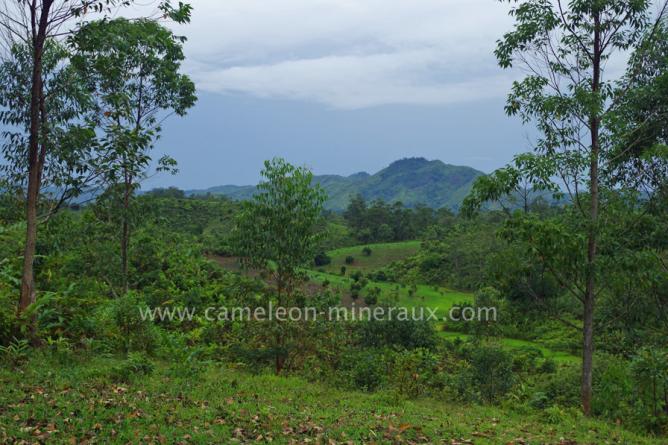 Prospection dans une autre région de Madagascar