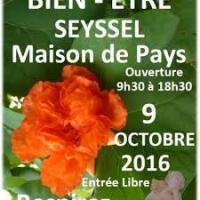 Salon bien etre seyseel